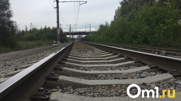 Пьяный мужчина чудом выжил под поездом в Новосибирской области