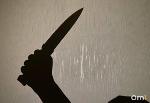 Глава омского крестьянско-фермерского хозяйства предстанет перед судом за убийство своего работника