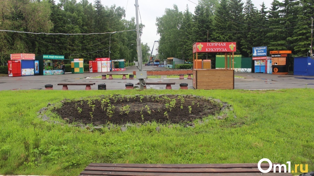 Пока омичи сидят дома, парки обрабатывают от клещей (фото)