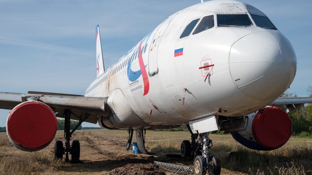 Выставили охрану: показываем, что сейчас происходит с самолётом в пшеничном поле под Новосибирском