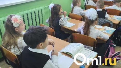 Ремонт на свои деньги и незнающие русский язык дети: изнанка работы учителем в новосибирских школах