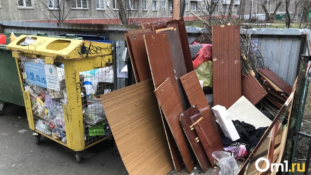 Депутаты Заксобрания предложили лишить «Экологию-Новосибирск» статуса регоператора