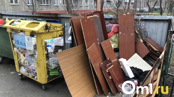 Депутаты Заксобрания предложили лишить «Экологию-Новосибирск» статуса регоператора