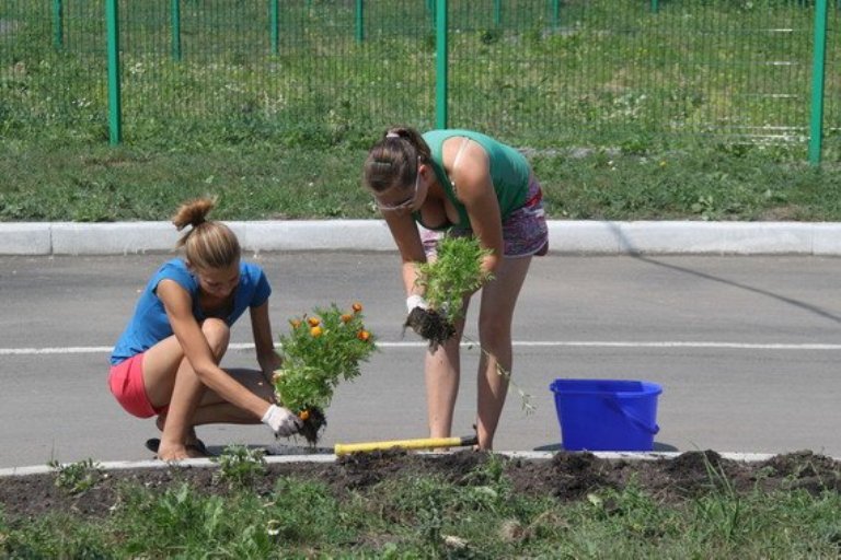 Проект по трудоустройству подростков в летнее время