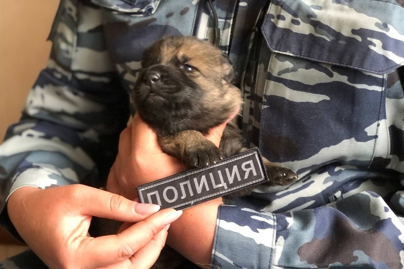 Изображение фоторепортажа