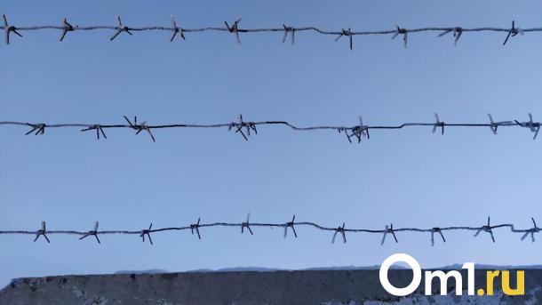В Омской области мужчина зарезал своего родственника во время ссоры