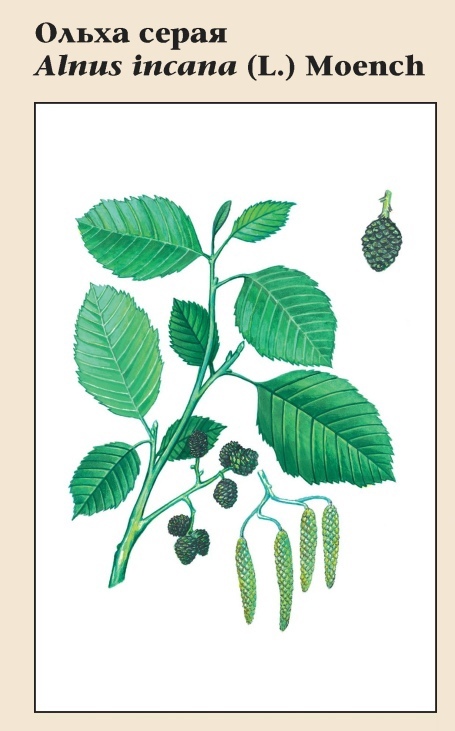 Изображение фоторепортажа