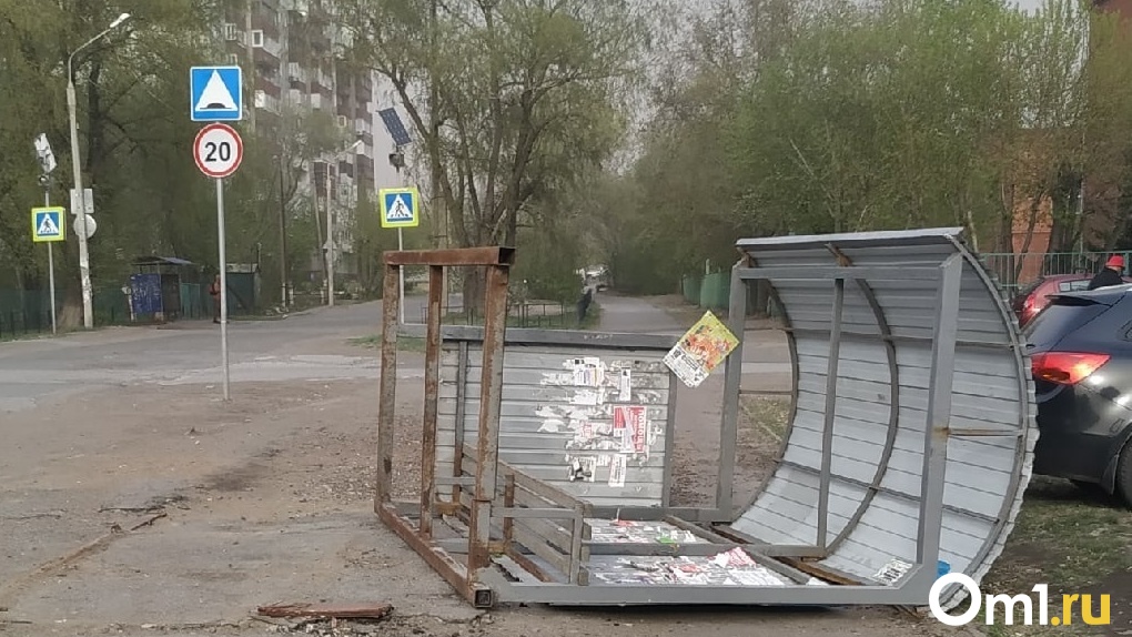 Пылевая буря в Омске сносит остановки, деревья и провода