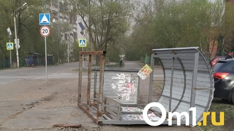 Пылевая буря в Омске сносит остановки, деревья и провода
