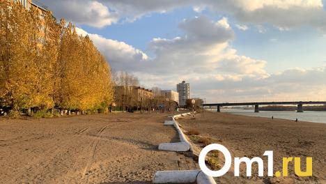 Хоценко предложил открыть для омичей новые пляжи