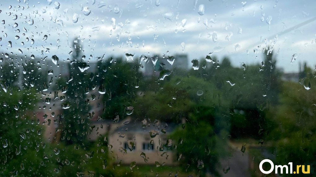 За окном бушует ветер. Гроза днем. Три дня дождя. Гроза и дождь на фотографии. Три дня дождя фото.