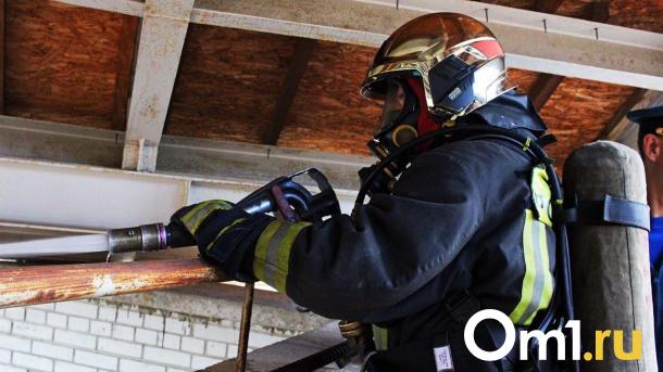 87 пожаров за сутки: почему Новосибирская область в огне