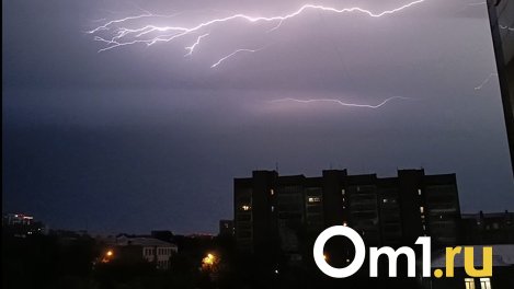 О грозе и сильном ветре 29 августа предупреждают жителей Новосибирска