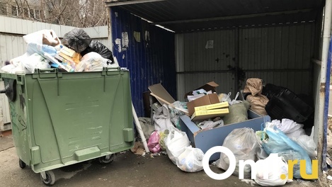 Управляющую «Экология-Новосибирск» Ирину Курочку сняли с должности