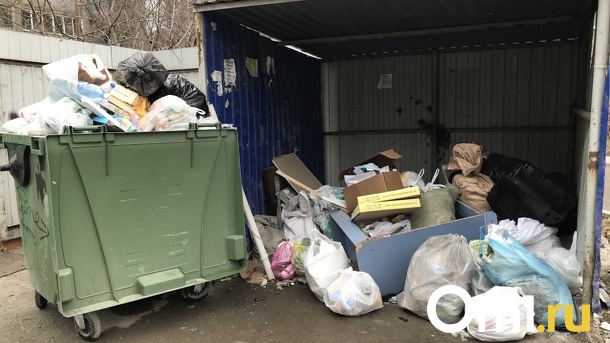 Управляющую «Экология-Новосибирск» Ирину Курочку сняли с должности