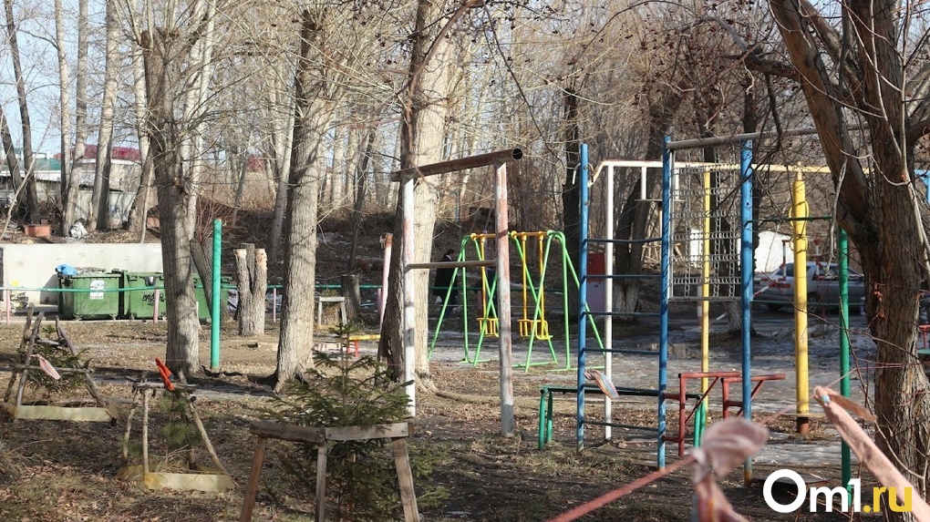 Прокуратура проверяет воспитателей лагеря в Омске, где ребёнку выбили зубы во время игры