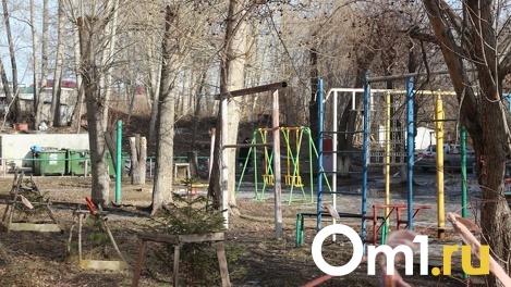 Прокуратура проверяет воспитателей лагеря в Омске, где ребёнку выбили зубы во время игры