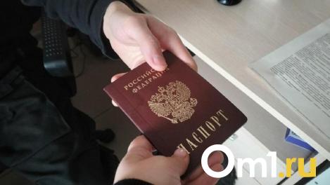 45 мигрантов депортировали из Новосибирской области