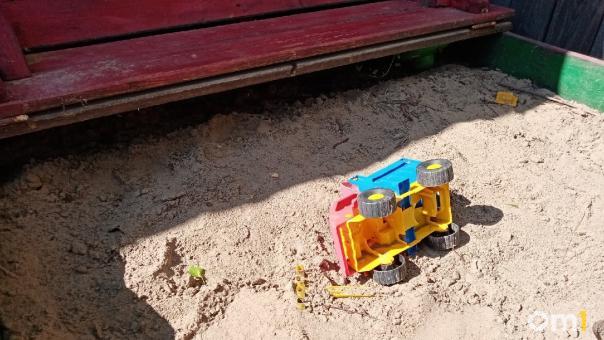 В Омске стая собак ворвалась на детскую площадку