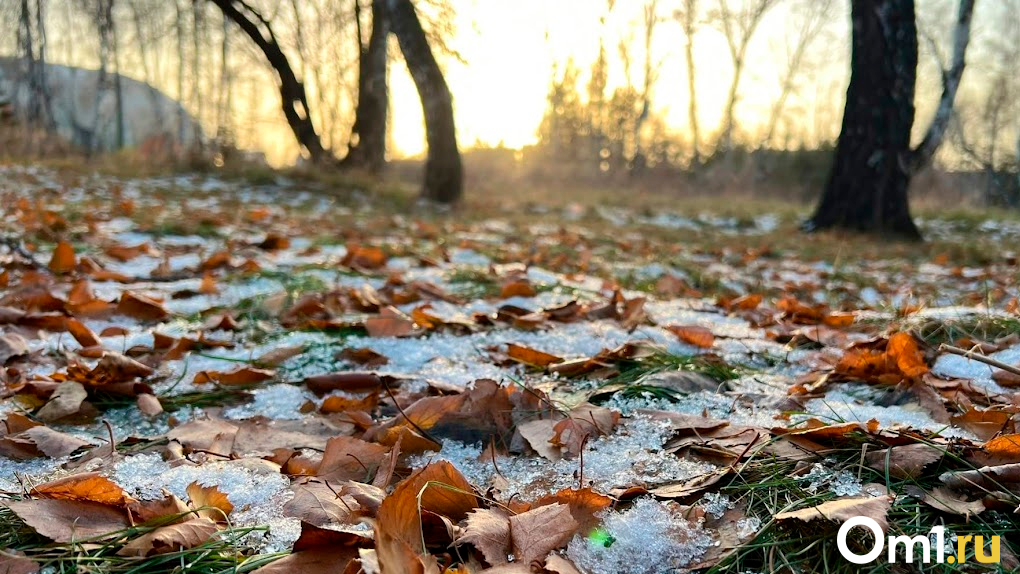Заморозки до -3 градусов накроют Новосибирскую область в ближайшие дни