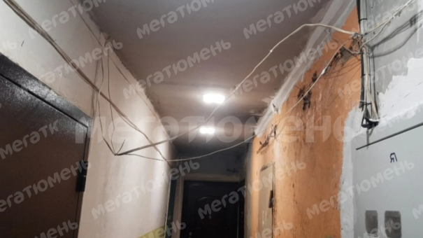 «Из унитазов выползают крысы»: жильцы рассказали об ужасах многоквартирного дома в Тюмени