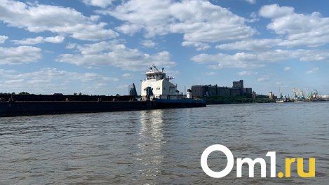 На Иртыше близ Омского речпорта сел на мель толкач