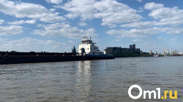 На Иртыше близ Омского речпорта сел на мель толкач