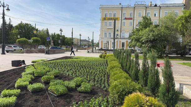Город расцветает: 20 тысяч цветов высадили за один день в Омске