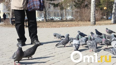 В Омске появится памятник бывшему генпрокурору России
