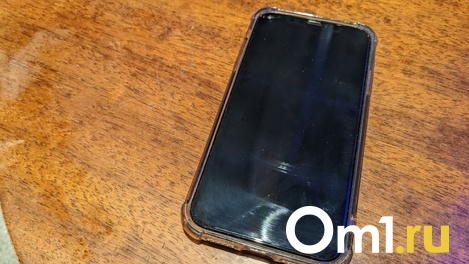 Ночью в поселковом кафе под Омском у девушки землячка похитила телефон