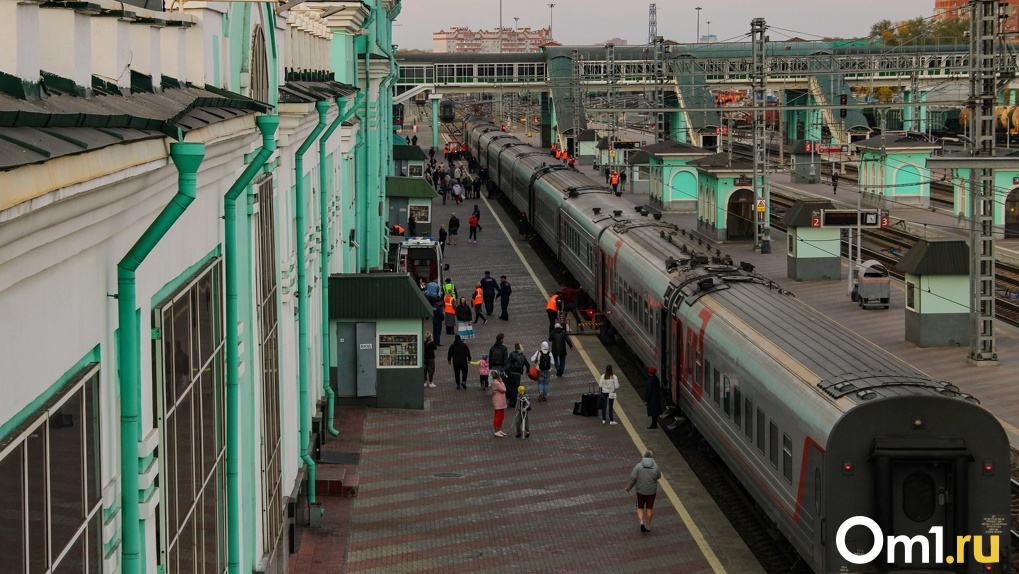Железнодорожные пути, кирпичные замки и сторожевые собаки: атмосфера Ленинского округа Омска