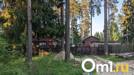 Пожилой омич проломил голову бывшего зятя топором