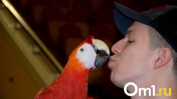 День поцелуя: когда и как его отмечают?
