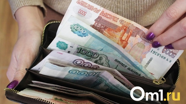 Как новосибирцам сэкономить деньги до январской зарплаты? Советы эксперта