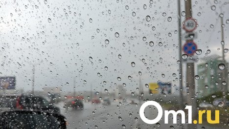 Ночью по Омску ударят заморозки ниже нуля