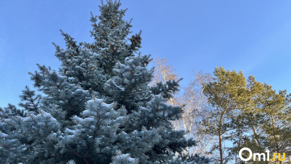 Сильные морозы: стало известно, когда в Омск придёт серьёзное похолодание