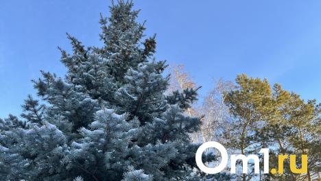 Сильные морозы: стало известно, когда в Омск придёт серьёзное похолодание