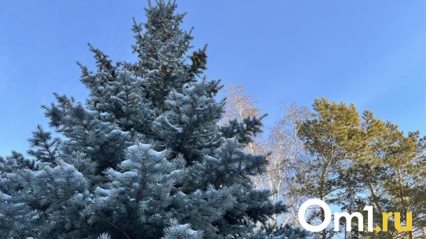 Сильные морозы: стало известно, когда в Омск придёт серьёзное похолодание