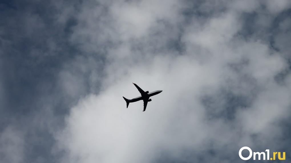Самолет, летевший из Омска в Сочи, совершил экстренную посадку в Волгограде