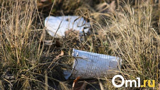 На омском Левобережье завершают рекультивацию крупной мусорной свалки