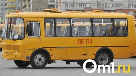 Омских учеников до школы в Степном будут возить на «ГАЗели»