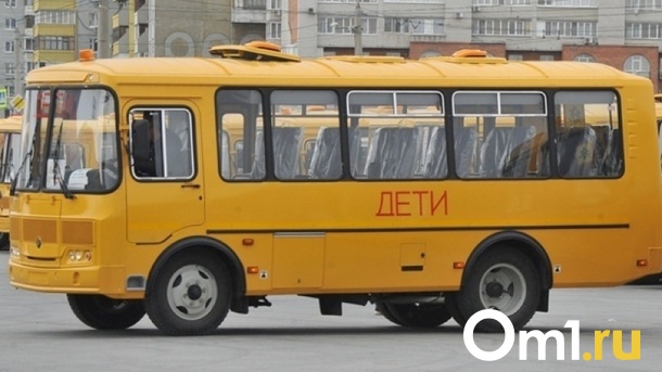 Омских учеников до школы в Степном будут возить на «ГАЗели»
