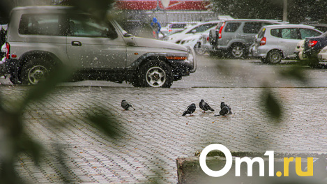 Новосибирский общественник пожаловался в Генпрокуратуру на перекрытие улицы Ленина