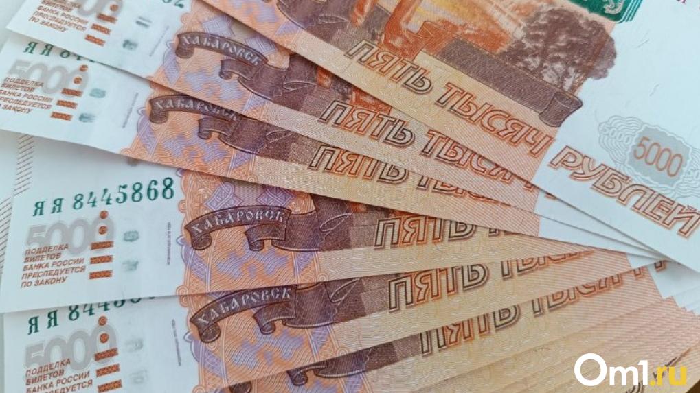 Новосибирской области выделят 24,7 млн рублей на поддержку малого и среднего бизнеса