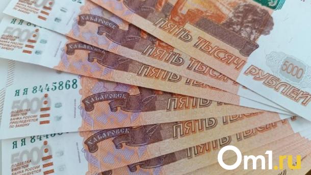 Новосибирской области выделят 24,7 млн рублей на поддержку малого и среднего бизнеса