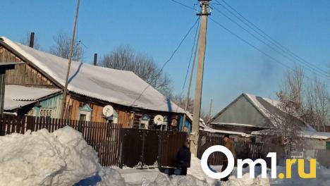 Опасная инфекция стала причиной карантина в Омской области