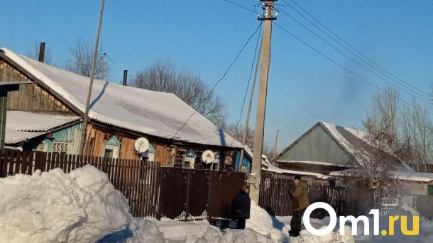 Опасная инфекция стала причиной карантина в Омской области