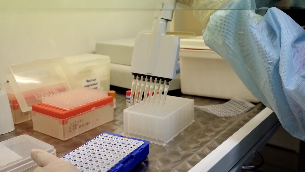 В Новосибирске появилась ещё одна лаборатория по тестированию на коронавирус