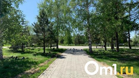 В Омске ищут подрядчика, который за 10 миллионов создаст площадку «У Лукоморья»