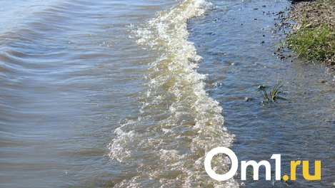 В Омске ищут арендатора для акватории в Советском округе